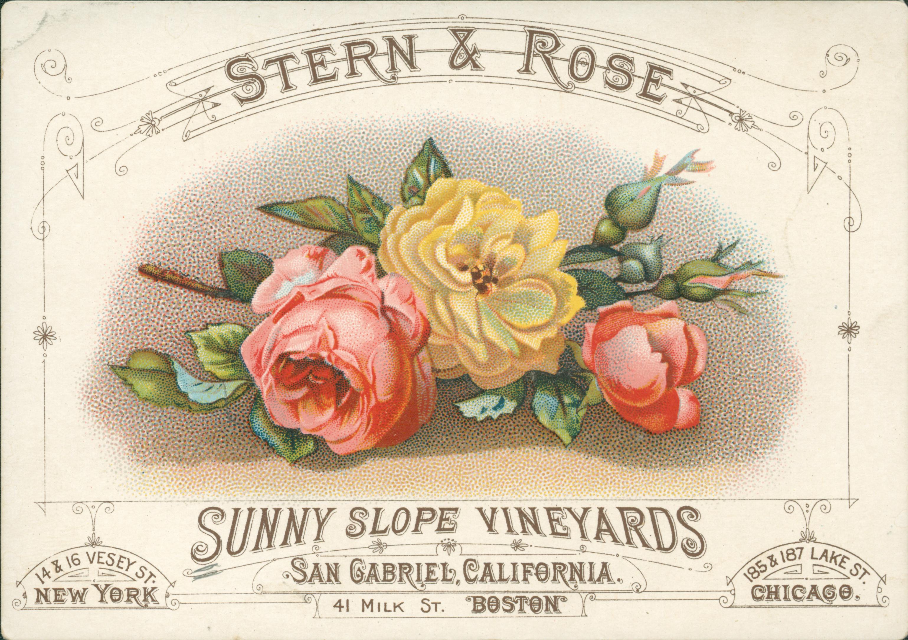 This trade card shows three roses in bloom with information about the company above and below.